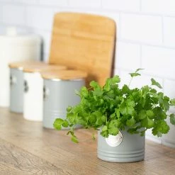 Best reviews of 🎁 Typhoon Living Herb Planter Grey 🌟 -HOME popular shop 1401067 Typhoon Living Herb Planter Grey 2