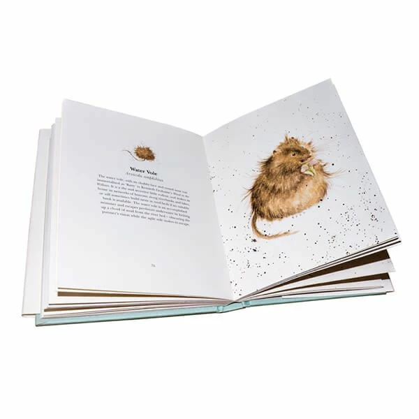 Coupon ๐ Wrendale Designs Country Set Book ๐ฏ 4 Coupon ๐ Wrendale Designs Country Set Book ๐ฏ - Image 2