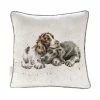 Wholesale 💯 Wrendale Designs 40cm Growing Old Together 🐶 Dogs Square Cushion 🥰 -HOME popular shop CU030 Wrendale Designs Growing Old Together Dogs 40cm Square Cushion