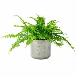 Promo ❤️ Burgon & Ball Provence Small Grey Glazed Pot 🛒 -HOME popular shop GIGPROVGRSM Burgon And Ball Provence Small Grey Glazed Pot 3