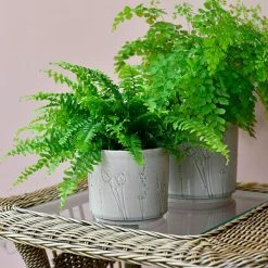 Promo ❤️ Burgon & Ball Provence Small Grey Glazed Pot 🛒 -HOME popular shop GIGPROVGRSM Burgon And Ball Provence Small Grey Glazed Pot 4