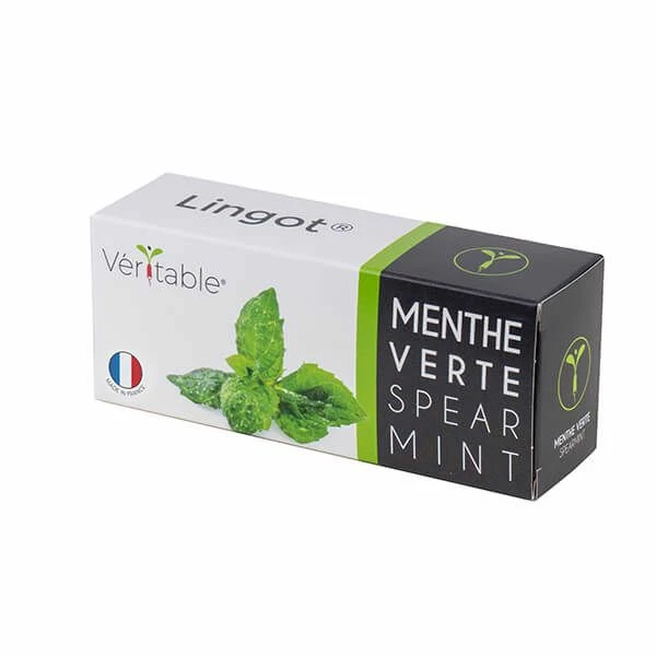Wholesale 🤩 Veritable Spearmint Lingot 👍 3 Wholesale 🤩 Veritable Spearmint Lingot 👍