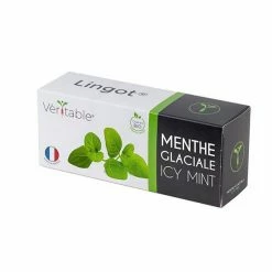 Promo 🛒 Veritable Icy Mint Lingot ⌛