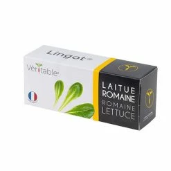 Discount 🛒 Veritable Romaine Lettuce Lingot ✔️