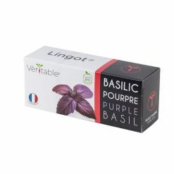 Flash Sale 🎁 Veritable Organic Purple Basil Lingot 🎁