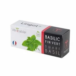 Best Pirce 🛒 Veritable Organic Dwarf Basil Lingot 🌟